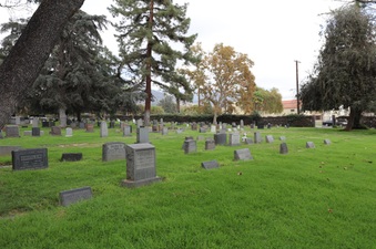 Enlarge photo 37