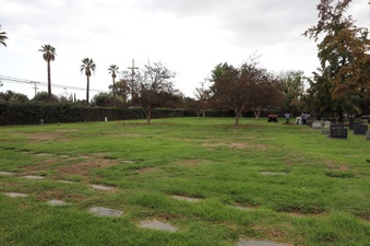 Enlarge photo 39