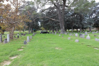 Enlarge photo 40