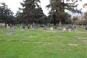 Enlarge photo 41