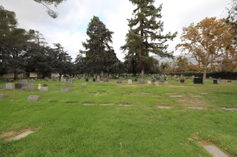 Enlarge photo 42