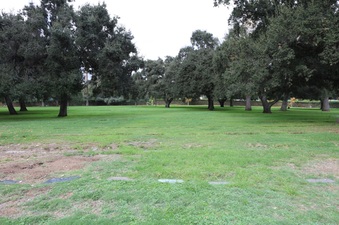 Enlarge photo 43