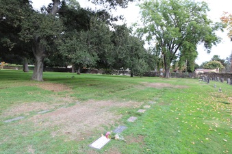 Enlarge photo 44