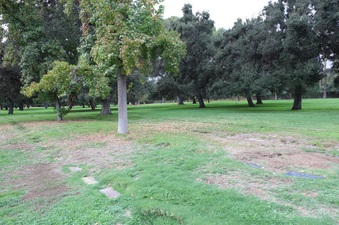 Enlarge photo 45