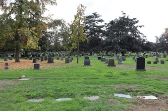 Enlarge photo 46