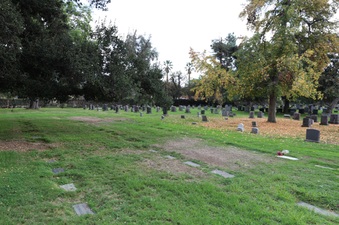 Enlarge photo 47