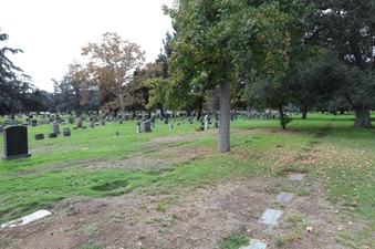 Enlarge photo 48