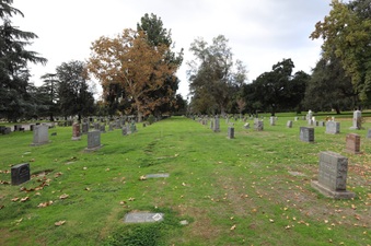 Enlarge photo 49
