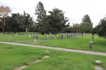 Enlarge photo 51
