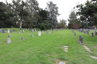 Enlarge photo 52