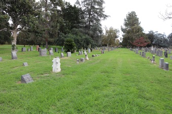 Enlarge photo 53