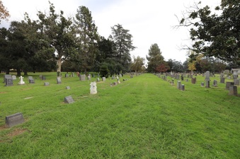 Enlarge photo 54