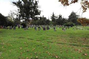 Enlarge photo 55