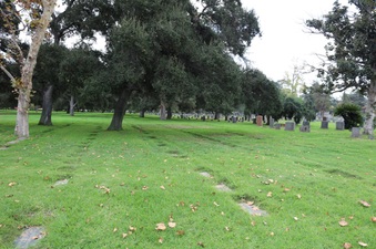 Enlarge photo 56