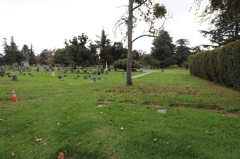 Enlarge photo 57