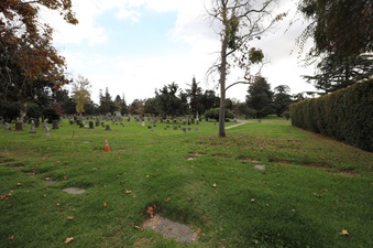 Enlarge photo 58