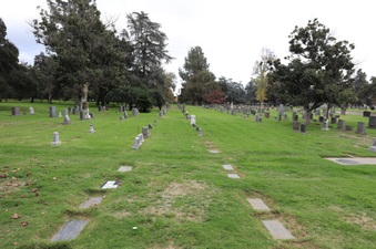 Enlarge photo 60