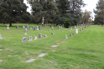 Enlarge photo 61