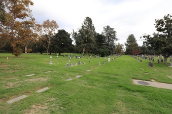 Enlarge photo 62