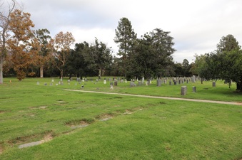 Enlarge photo 63