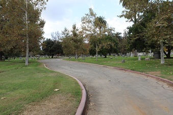Enlarge photo 68