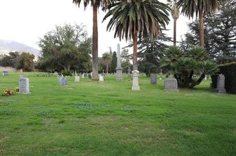 Enlarge photo 69