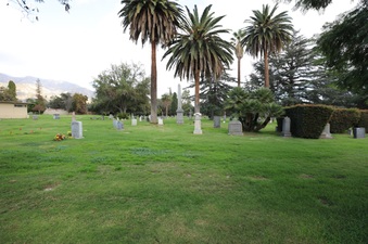 Enlarge photo 70