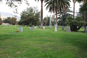 Enlarge photo 71