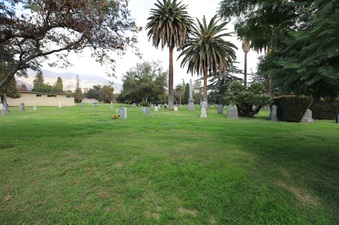 Enlarge photo 72