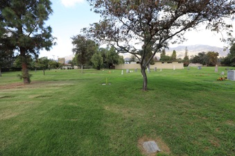Enlarge photo 73