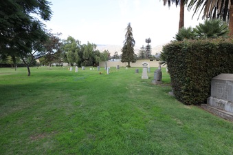 Enlarge photo 74