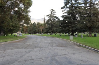 Enlarge photo 81