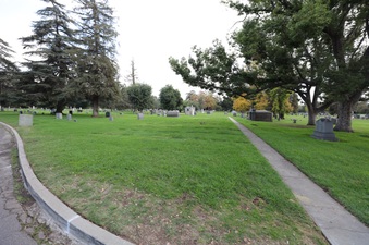 Enlarge photo 82