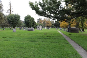 Enlarge photo 83