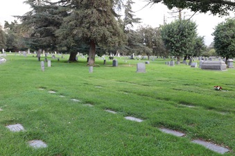 Enlarge photo 84