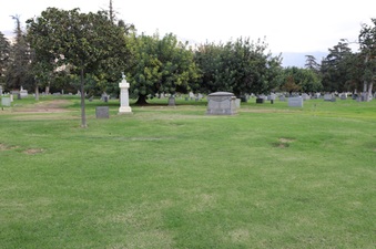 Enlarge photo 87