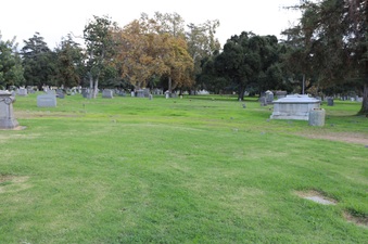 Enlarge photo 88