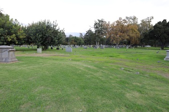 Enlarge photo 90