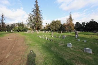 Enlarge photo 95