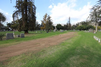 Enlarge photo 97