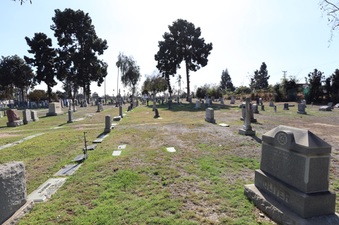Enlarge photo 9