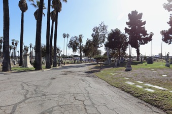 Enlarge photo 12