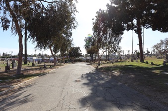 Enlarge photo 15