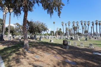 Enlarge photo 19