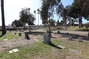 Enlarge photo 23