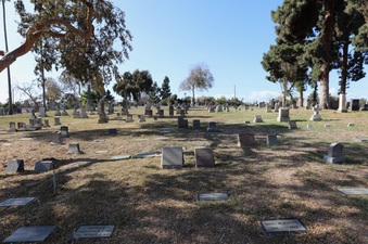 Enlarge photo 24