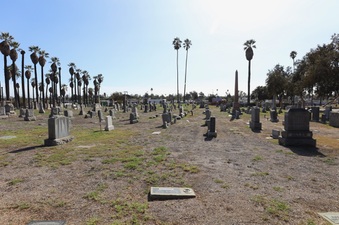 Enlarge photo 25