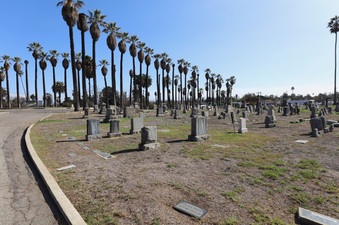Enlarge photo 26