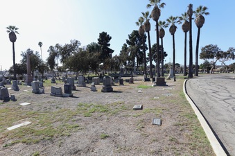 Enlarge photo 27