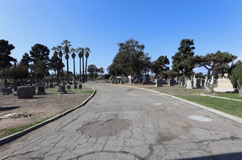 Enlarge photo 28